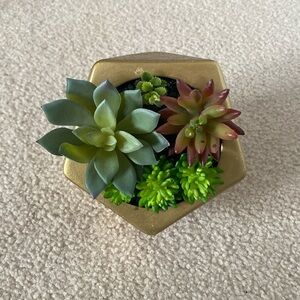 Mainstays Gold Succulent Table Top Decor